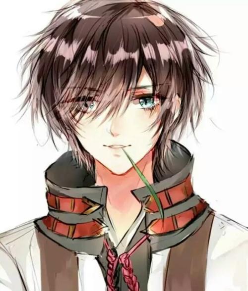 沈瑤初高禹川小說哪里可以看封面