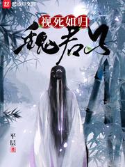 視死如歸魏君子封面