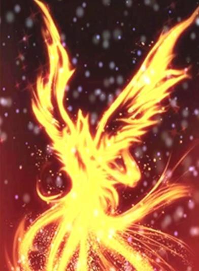 溫爾晚慕言深小說免費閱讀無彈窗封面