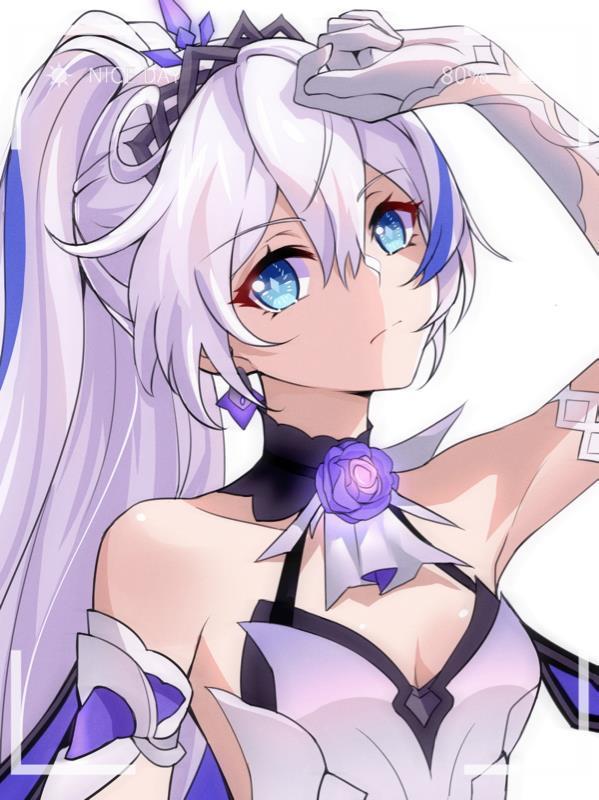 崩壞三：崩壞世界的奇妙之旅封面