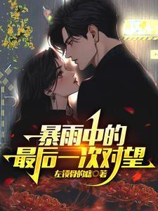 暴雨中的最后一次對望封面
