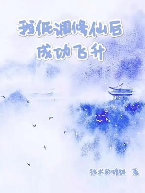 我低調修仙后成功飛升封面