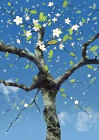 個人短篇靈感合集封面