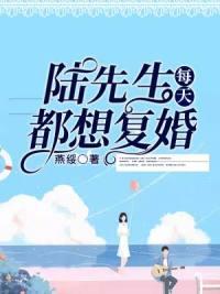 陸先生每天都想復婚封面