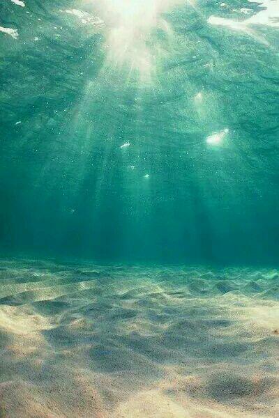 慕初靜顧景辰萌寶爹地的千層套路