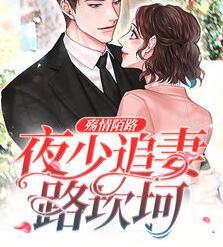 凌薇夜寒霆封面