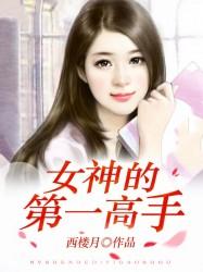 女神的第一高手封面